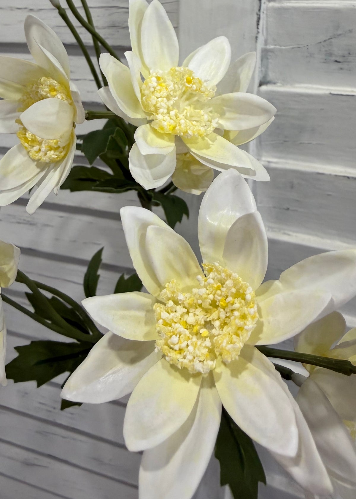 ITEM 10256 W - 25" WHITE FRESH TOUCH ANEMONE SPRAY