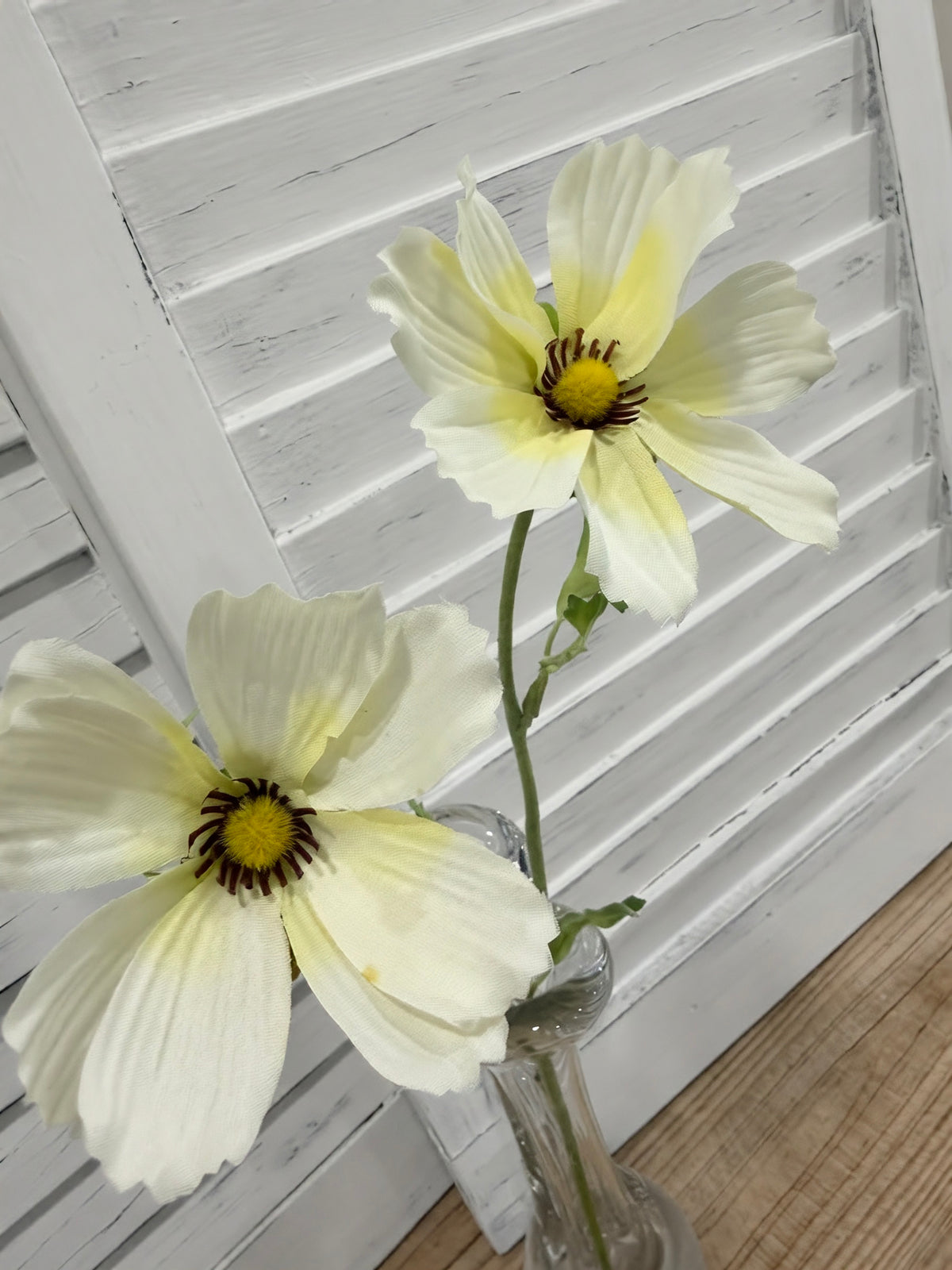 ITEM 10264 W - 16" WHITE COSMO SPRAY WITH 2 HEADS