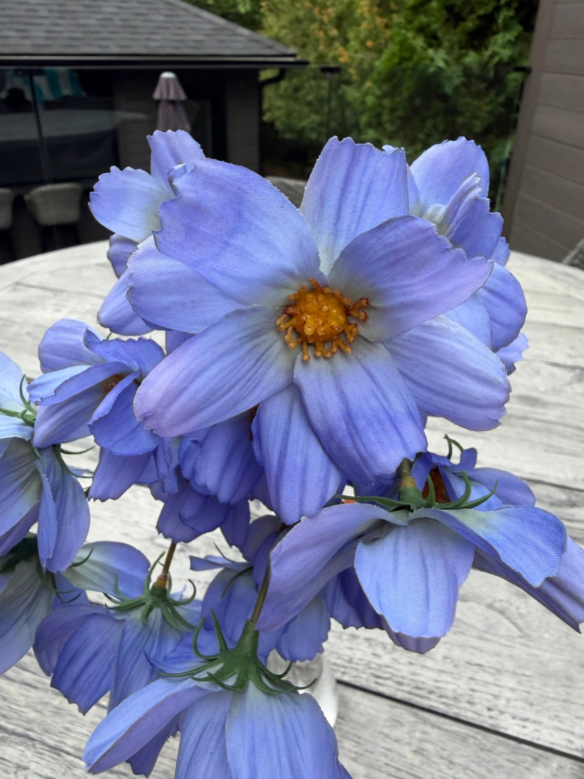 ITEM 10265 LVBL - 14" LAVENDER BLUE REAL TOUCH COSMOS BUNDLE WITH 6 STEMS