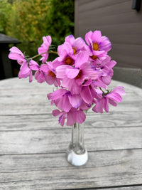 ITEM 10265 PK - 14" PINK REAL TOUCH COSMOS BUNDLE WITH 6 STEMS