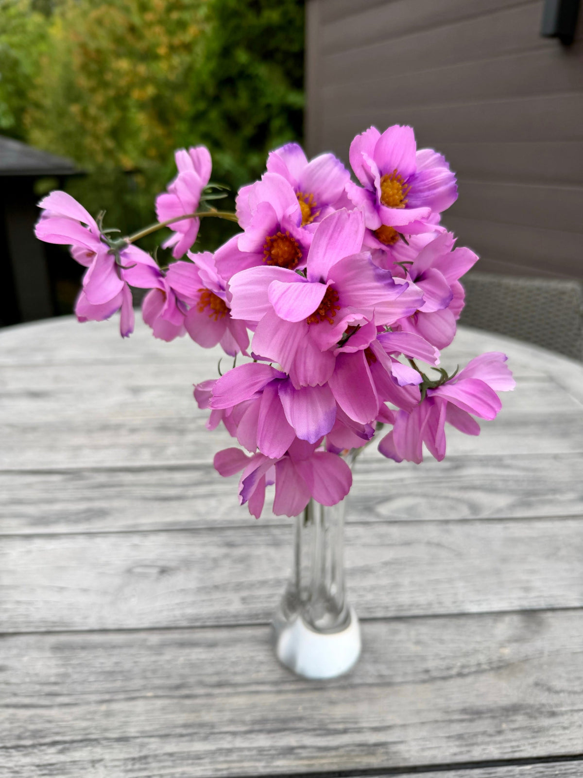 ITEM 10265 PK - 14" PINK REAL TOUCH COSMOS BUNDLE WITH 6 STEMS
