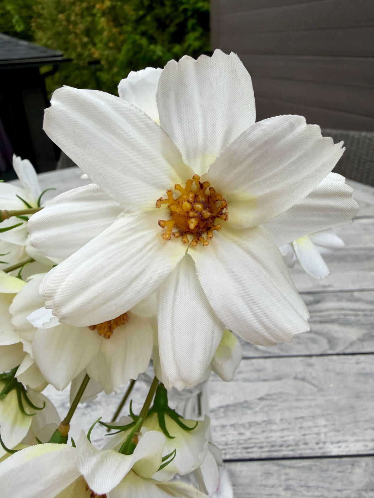 ITEM 10265 W - 14" WHITE BLUE REAL TOUCH COSMOS BUNDLE WITH 6 STEMS