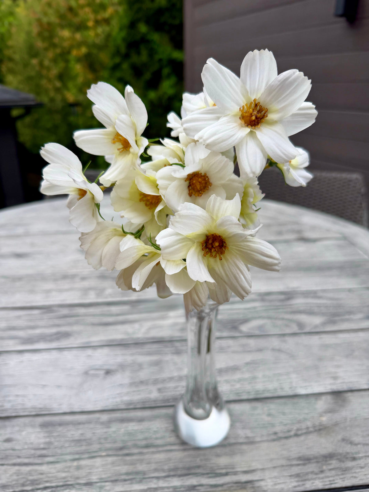 ITEM 10265 W - 14" WHITE BLUE REAL TOUCH COSMOS BUNDLE WITH 6 STEMS