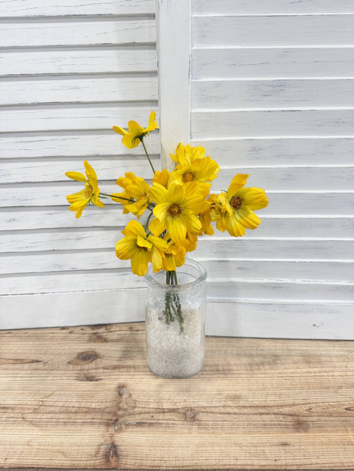 ITEM 10265 Y - 14" YELLOW BLUE REAL TOUCH COSMOS BUNDLE WITH 6 STEMS
