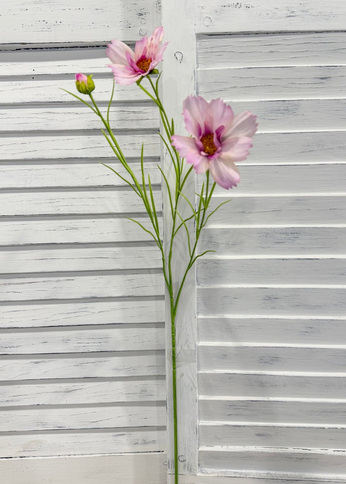 ITEM 10266 LV - 25.5" LAVENDER FRESH TOUCH COSMOS WITH 2 HEADS AND A BUD