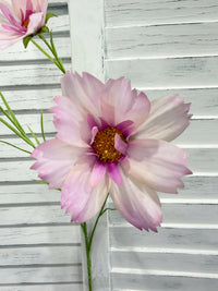 ITEM 10266 LV - 25.5" LAVENDER FRESH TOUCH COSMOS WITH 2 HEADS AND A BUD