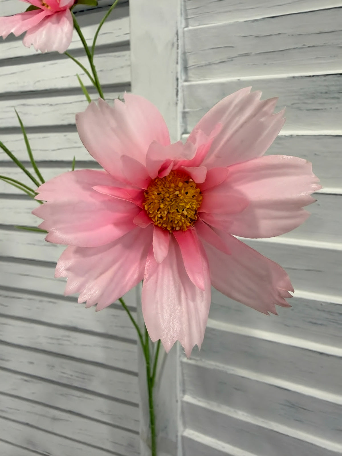 ITEM 10266 PK - 25.5" PINK FRESH TOUCH COSMOS WITH 2 HEADS AND A BUD