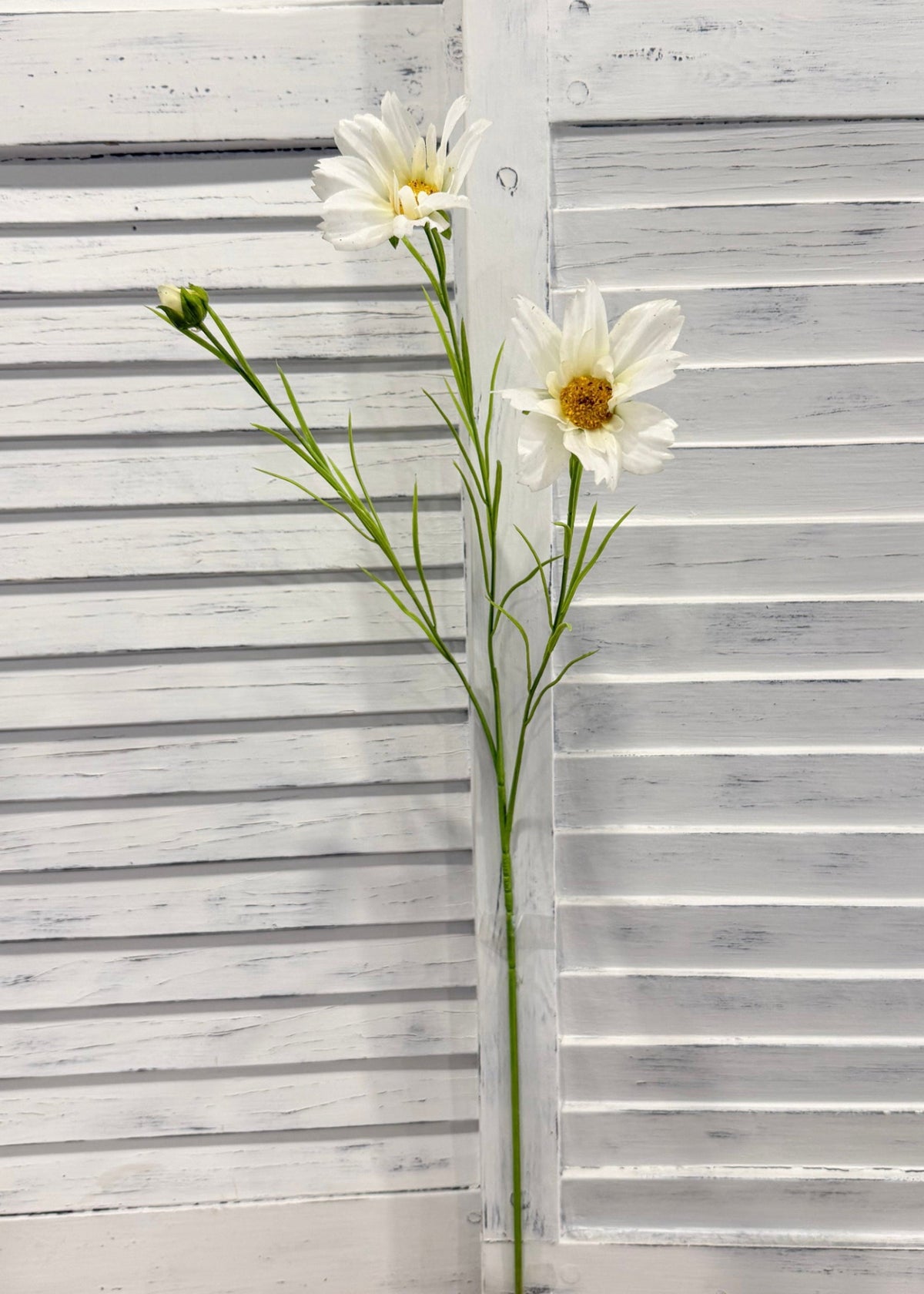 ITEM 10266 W - 25.5" WHITE FRESH TOUCH COSMOS WITH 2 HEADS AND A BUD