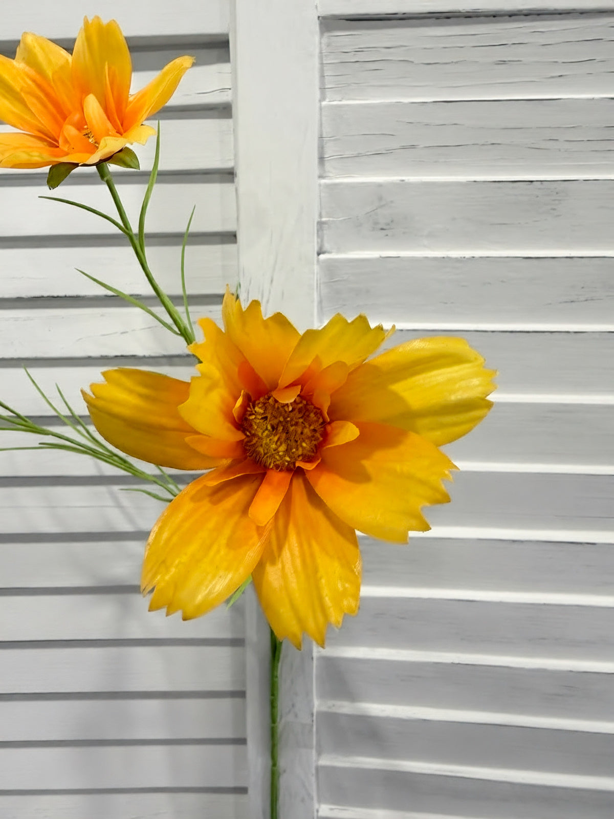 ITEM 10266 Y - 25.5" YELLOW FRESH TOUCH COSMOS WITH 2 HEADS AND A BUD