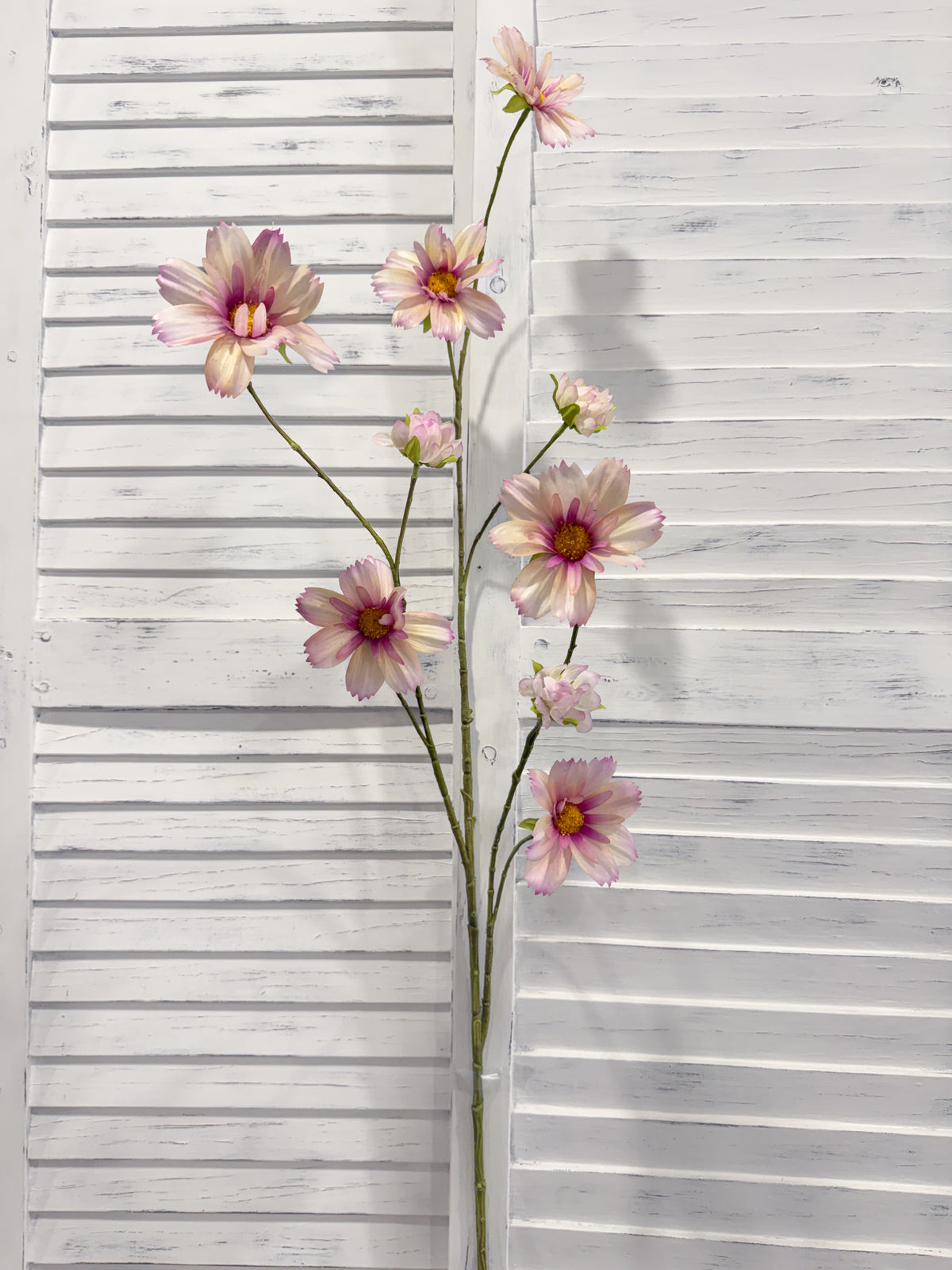 ITEM 10267 LV - 44.5" LAVENDER FRESH TOUCH COSMOS SPRAY WITH 6 HEADS AND 3 BUDS