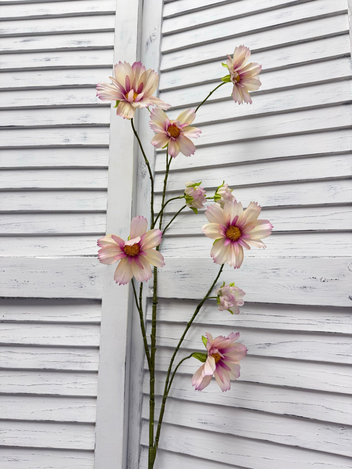 ITEM 10267 LV - 44.5" LAVENDER FRESH TOUCH COSMOS SPRAY WITH 6 HEADS AND 3 BUDS