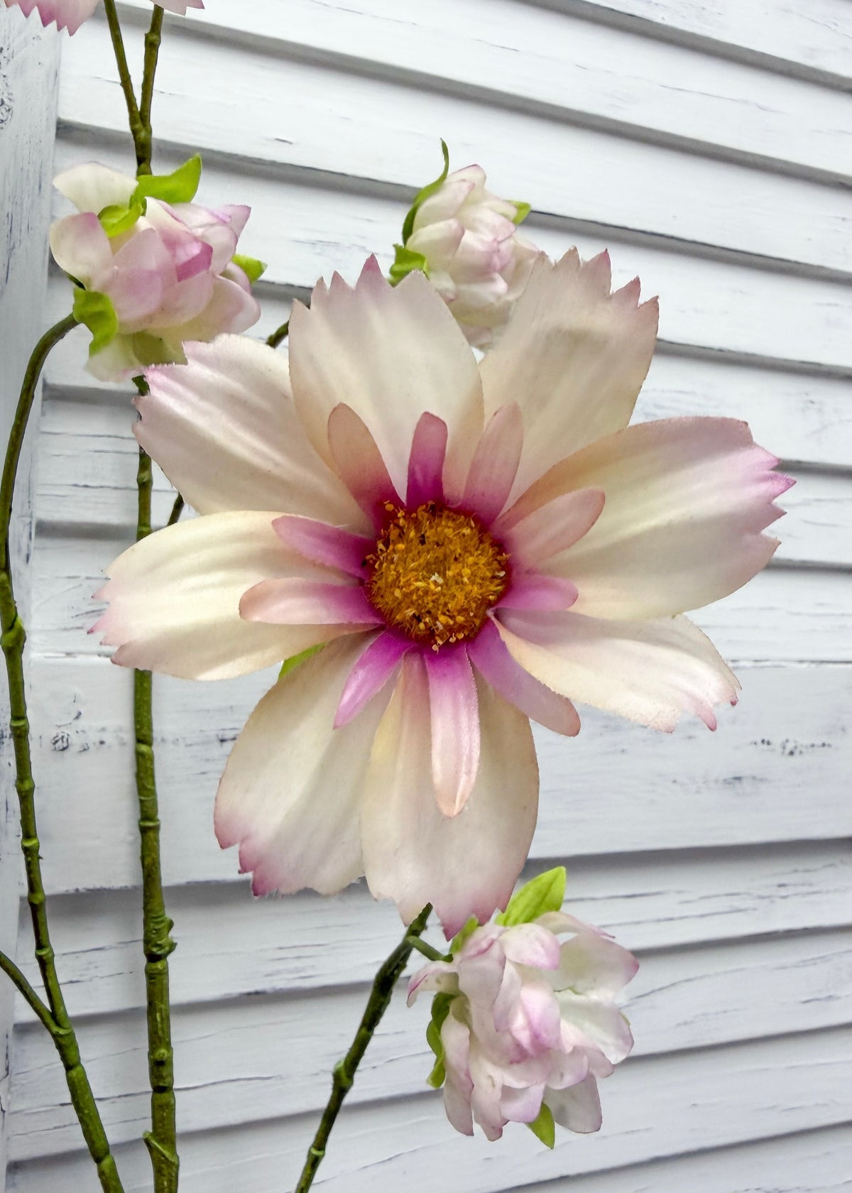 ITEM 10267 LV - 44.5" LAVENDER FRESH TOUCH COSMOS SPRAY WITH 6 HEADS AND 3 BUDS