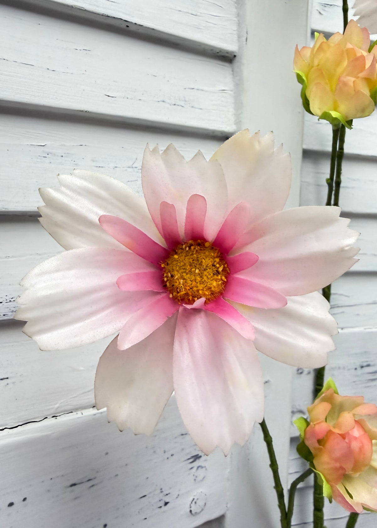 ITEM 10267 PK - 44.5" PINK FRESH TOUCH COSMOS SPRAY WITH 6 HEADS AND 3 BUDS