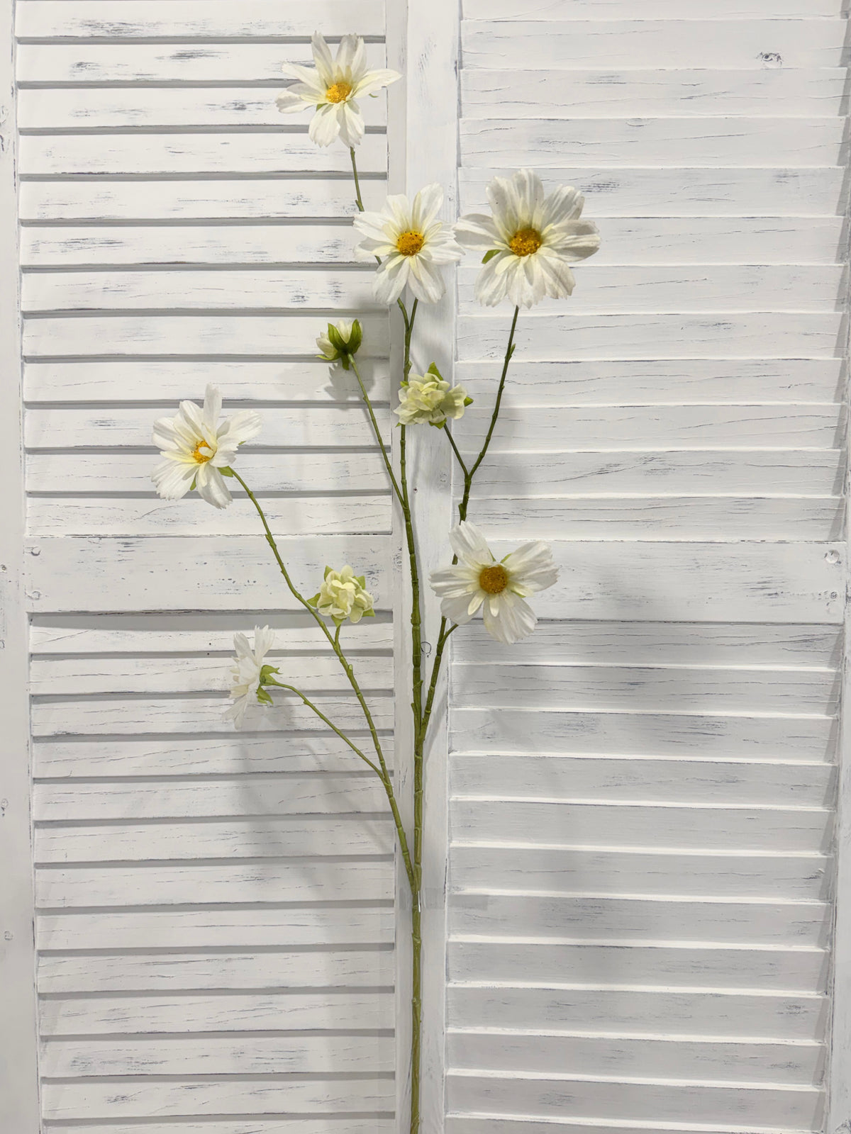 ITEM 10267 W - 44.5" WHITE FRESH TOUCH COSMOS SPRAY WITH 6 HEADS AND 3 BUDS