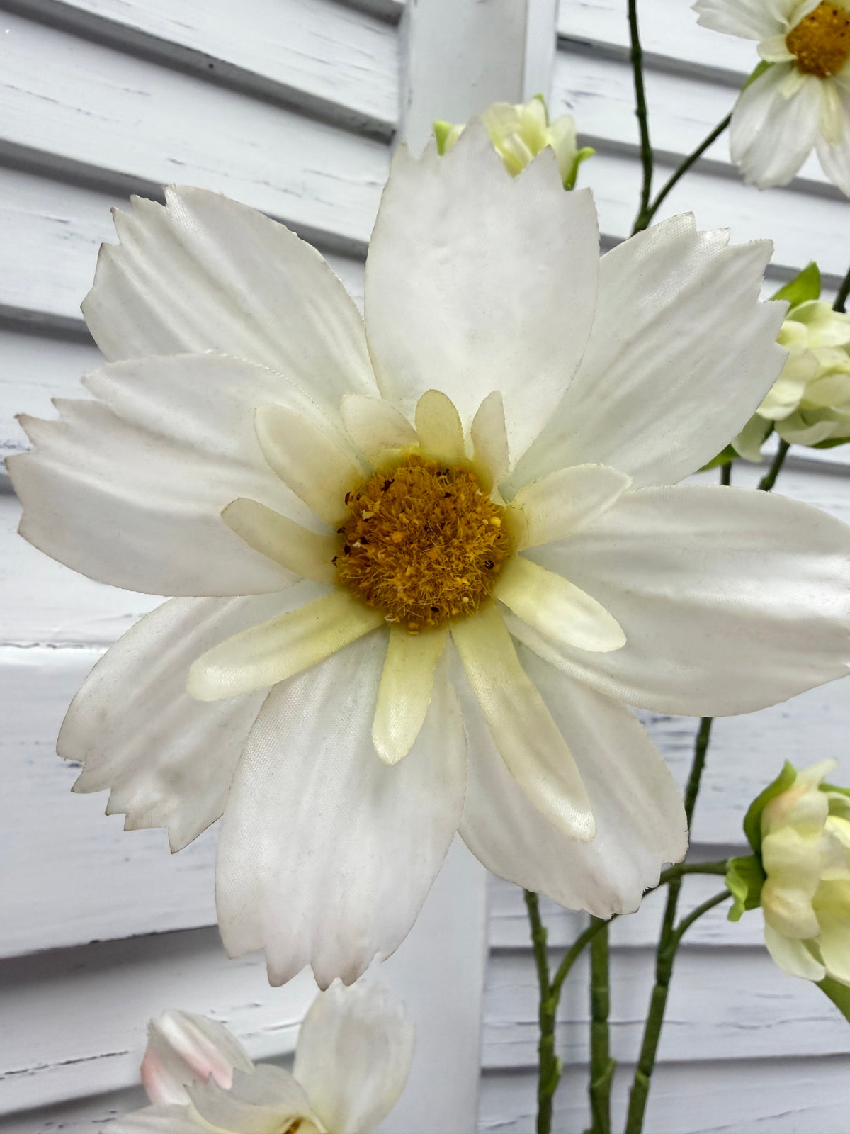ITEM 10267 W - 44.5" WHITE FRESH TOUCH COSMOS SPRAY WITH 6 HEADS AND 3 BUDS