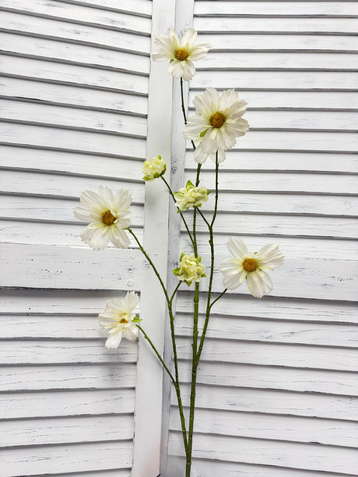 ITEM 10267 W - 44.5" WHITE FRESH TOUCH COSMOS SPRAY WITH 6 HEADS AND 3 BUDS