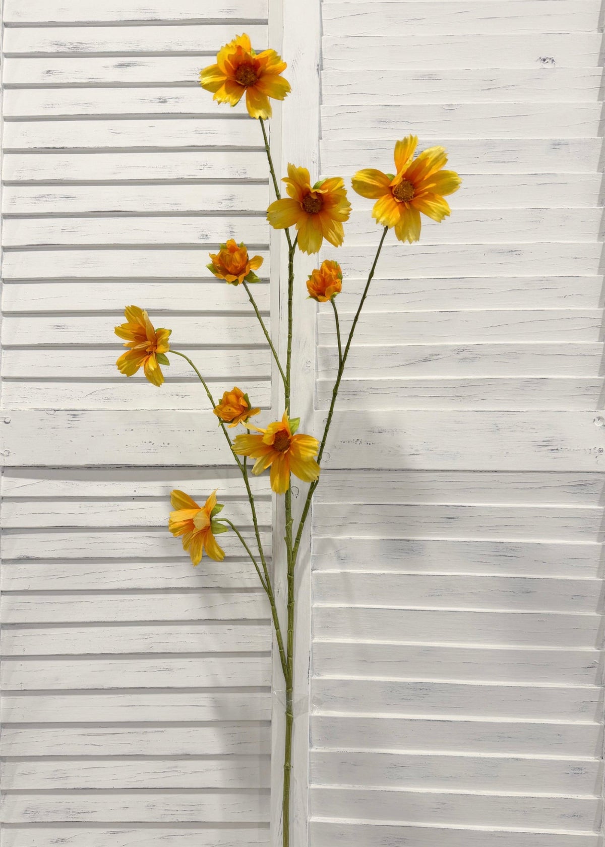 ITEM 10267 Y - 44.5" YELLOW FRESH TOUCH COSMOS SPRAY WITH 6 HEADS AND 3 BUDS