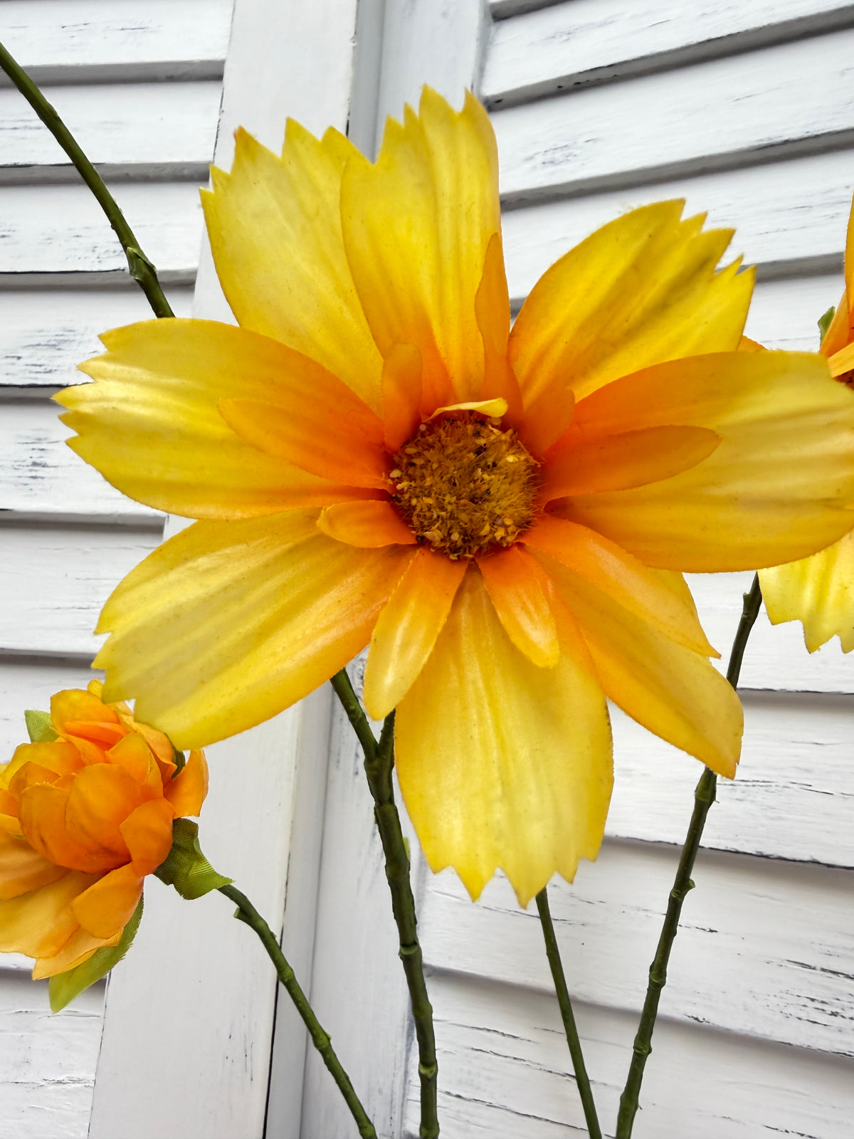 ITEM 10267 Y - 44.5" YELLOW FRESH TOUCH COSMOS SPRAY WITH 6 HEADS AND 3 BUDS