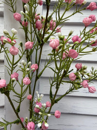 ITEM 10274 DKPK - 32" DARK PINK BABY'S BREATH BRANCH