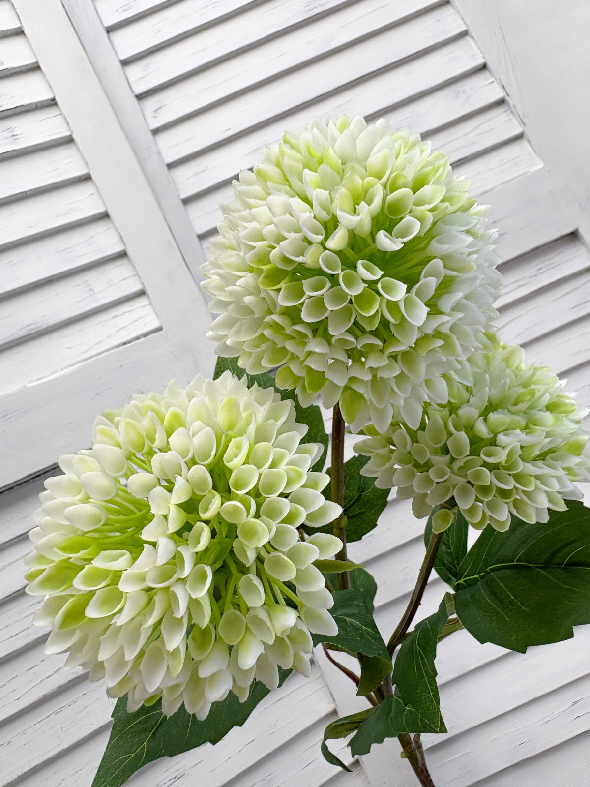 ITEM 10279 WGR - 30" WHITE GREEN MUM SPRAY WITH 3 HEADS