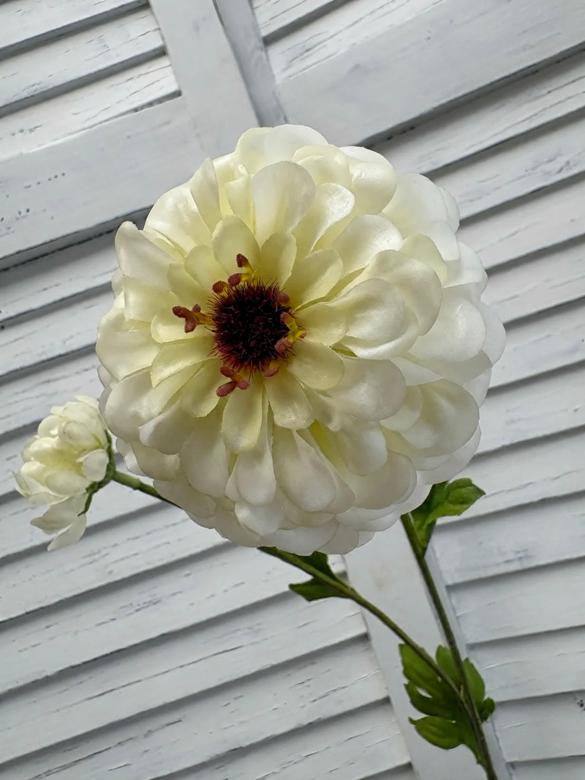 ITEM 10281 W - 25" WHITE FRESH TOUCH ZINNIA SPRAY WITH 1 HEAD AND 1 BUD