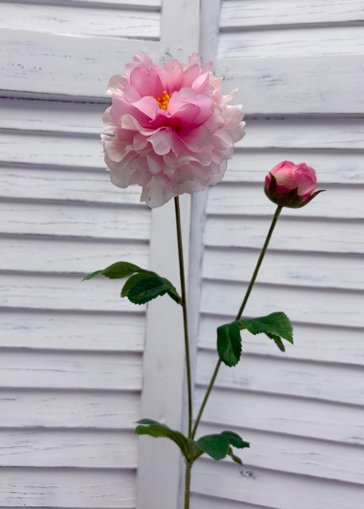 ITEM 10282 PK - 25" PINK FRESH TOUCH PEONY WITH 1 HEAD AND 1 BUD