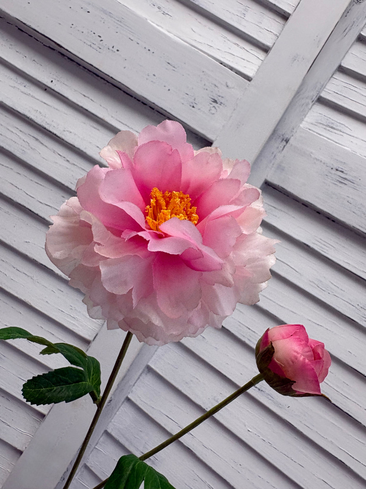 ITEM 10282 PK - 25" PINK FRESH TOUCH PEONY WITH 1 HEAD AND 1 BUD