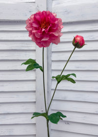 ITEM 10282 ROSE - 25" ROSE FRESH TOUCH PEONY WITH 1 HEAD AND 1 BUD