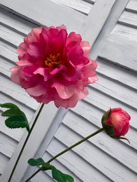 ITEM 10282 ROSE - 25" ROSE FRESH TOUCH PEONY WITH 1 HEAD AND 1 BUD