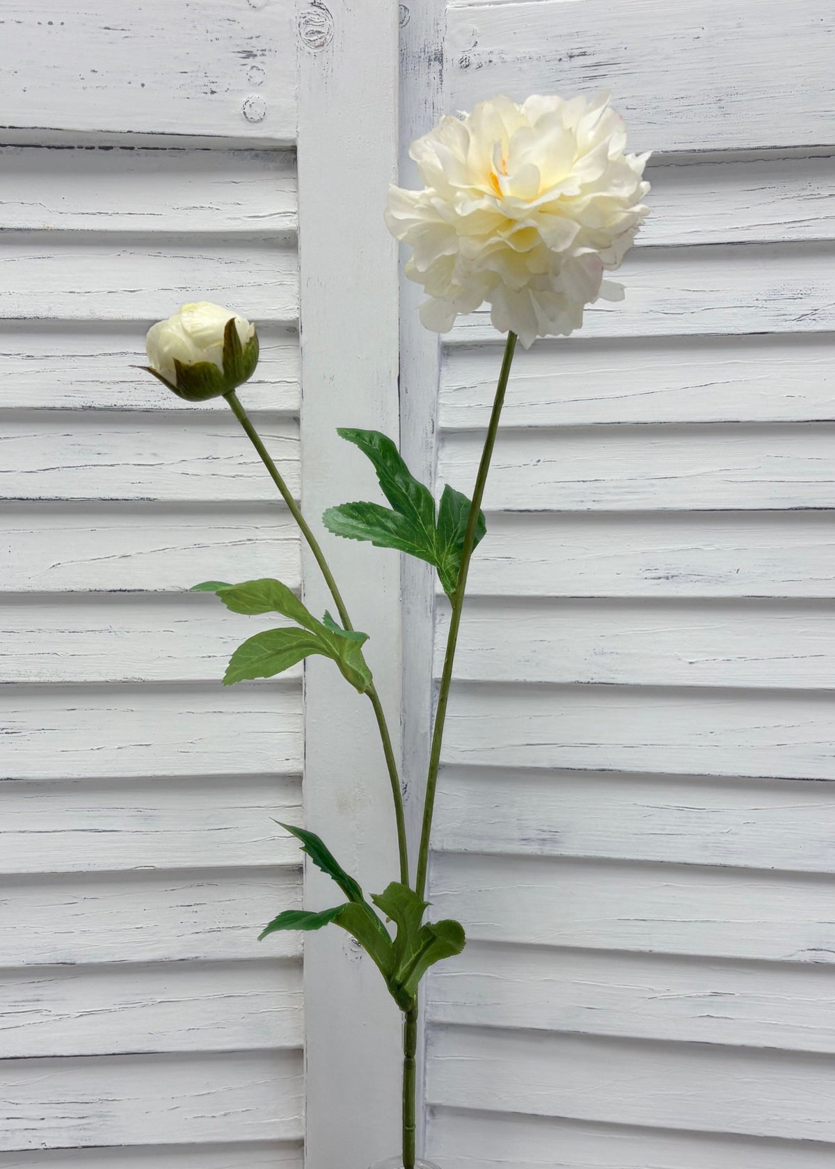 ITEM 10282 W - 25" WHITE FRESH TOUCH PEONY WITH 1 HEAD AND 1 BUD