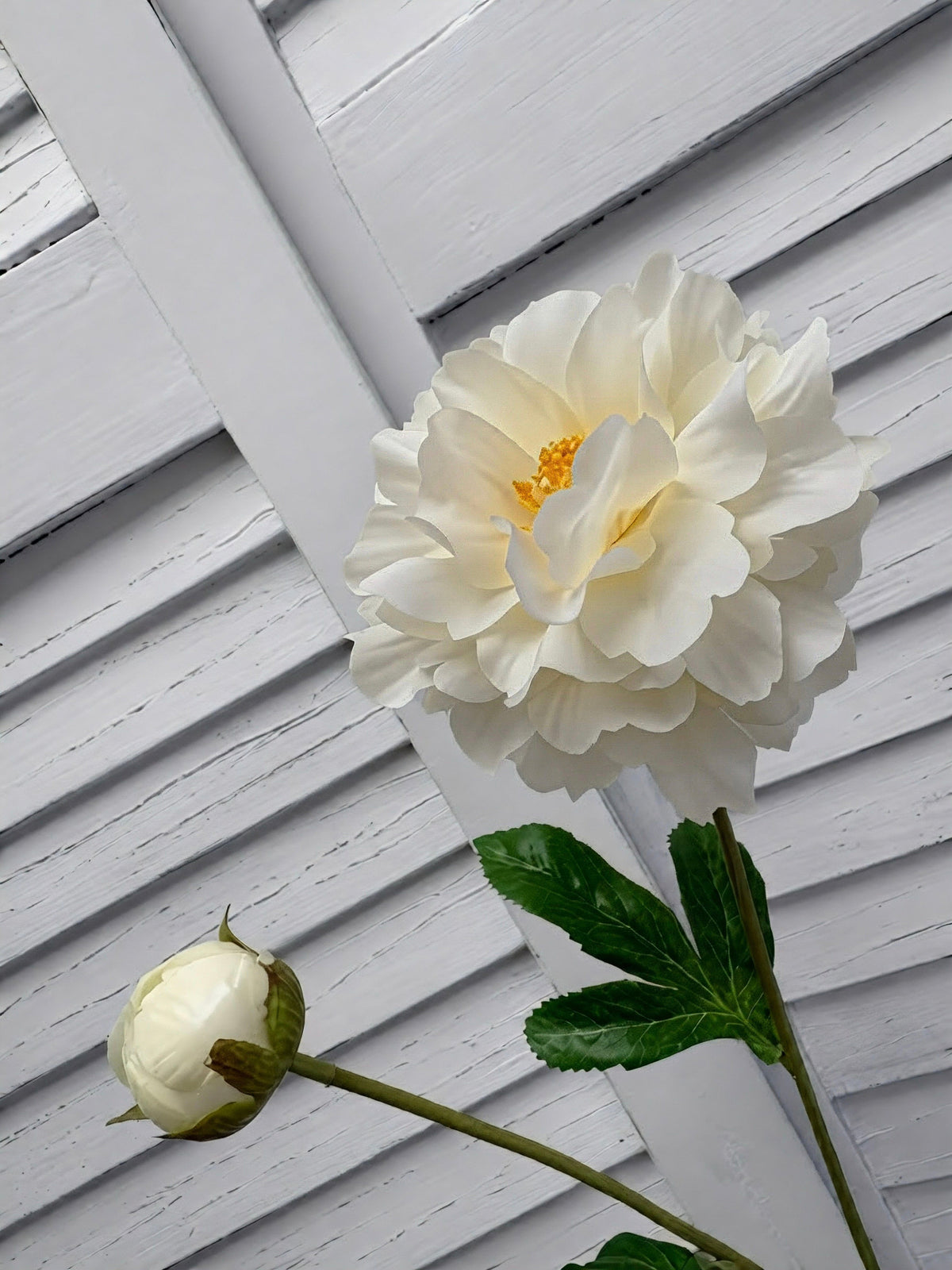 ITEM 10282 W - 25" WHITE FRESH TOUCH PEONY WITH 1 HEAD AND 1 BUD