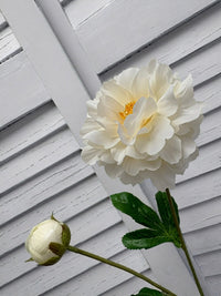 ITEM 10282 W - 25" WHITE FRESH TOUCH PEONY WITH 1 HEAD AND 1 BUD