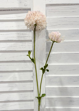 ITEM 10283 CMPK - 25" CREAM PINK FRESH TOUCH BALL MUM WITH 1 HEAD AND 1 BUD