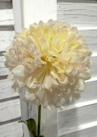 ITEM 10283 CREAM - 25" CREAM FRESH TOUCH BALL MUM WITH 1 HEAD AND 1 BUD