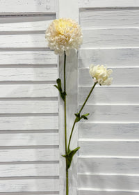 ITEM 10283 CREAM - 25" CREAM FRESH TOUCH BALL MUM WITH 1 HEAD AND 1 BUD