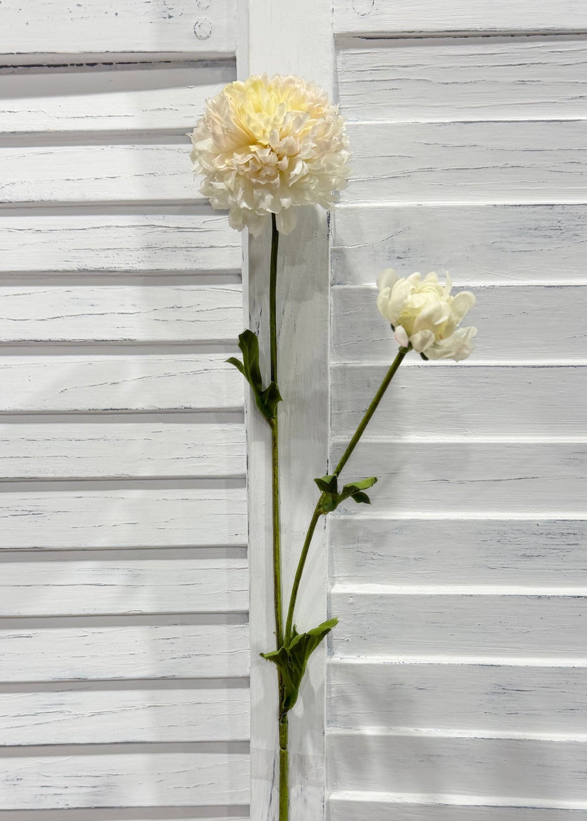 ITEM 10283 CREAM - 25" CREAM FRESH TOUCH BALL MUM WITH 1 HEAD AND 1 BUD