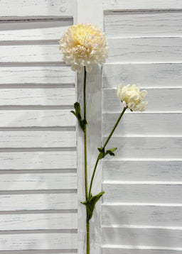 ITEM 10283 CREAM - 25" CREAM FRESH TOUCH BALL MUM WITH 1 HEAD AND 1 BUD