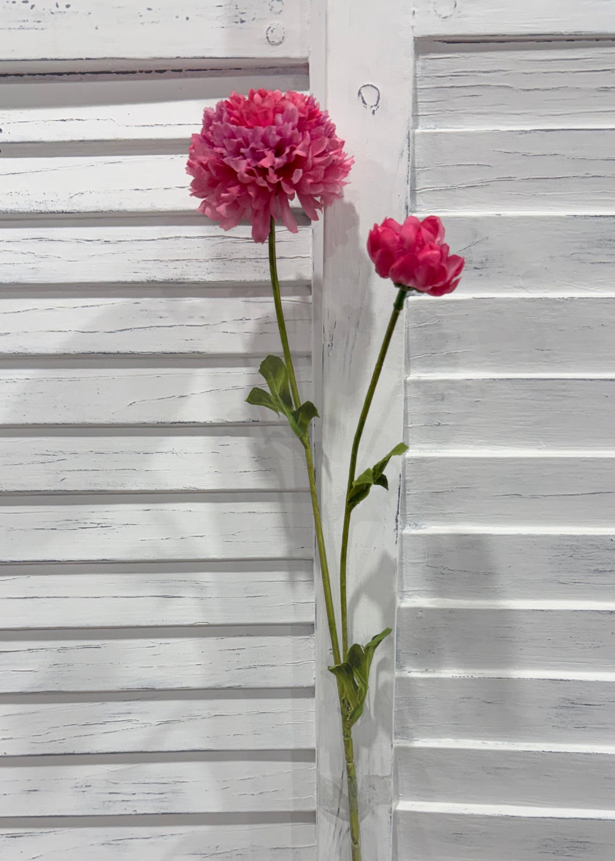 ITEM 10283 ROSE - 25" ROSE FRESH TOUCH BALL MUM WITH 1 HEAD AND 1 BUD