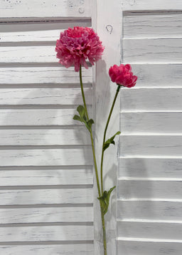 ITEM 10283 ROSE - 25" ROSE FRESH TOUCH BALL MUM WITH 1 HEAD AND 1 BUD