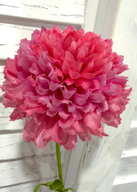 ITEM 10283 ROSE - 25" ROSE FRESH TOUCH BALL MUM WITH 1 HEAD AND 1 BUD