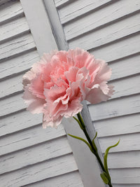 ITEM 10286 PK - 20.5" PINK FRESH TOUCH SINGLE CARNATION STEM