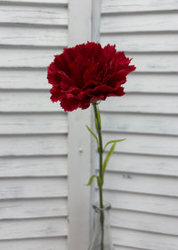 ITEM 10286 RED - 20.5" RED FRESH TOUCH SINGLE CARNATION STEM