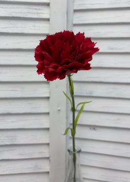 ITEM 10286 RED - 20.5" RED FRESH TOUCH SINGLE CARNATION STEM