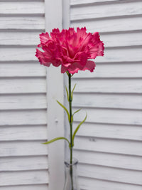 ITEM 10286 ROSE - 20.5" ROSE FRESH TOUCH SINGLE CARNATION STEM