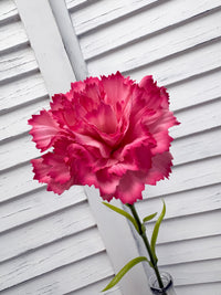 ITEM 10286 ROSE - 20.5" ROSE FRESH TOUCH SINGLE CARNATION STEM