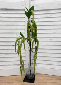 ITEM 10293 GR - 36" GREEN AMARANTHUS SPRAY