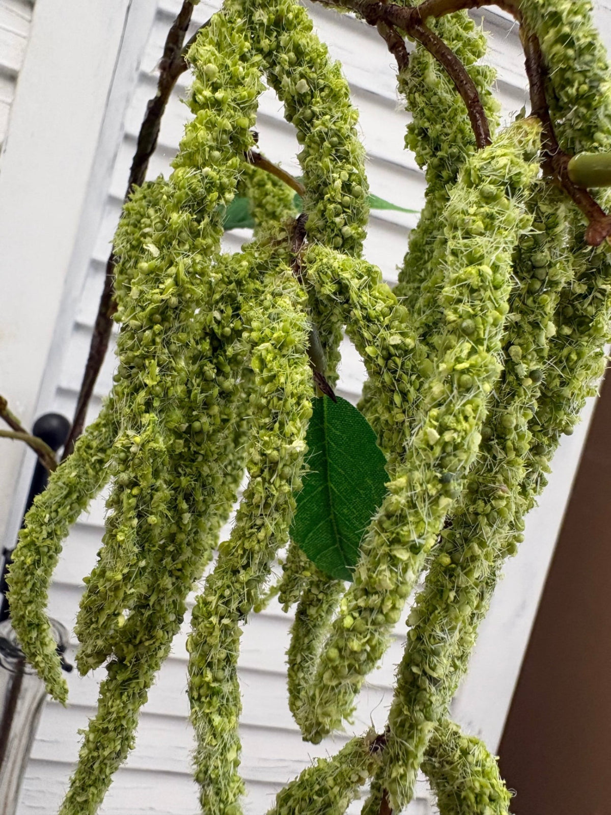 ITEM 10293 GR - 36" GREEN AMARANTHUS SPRAY