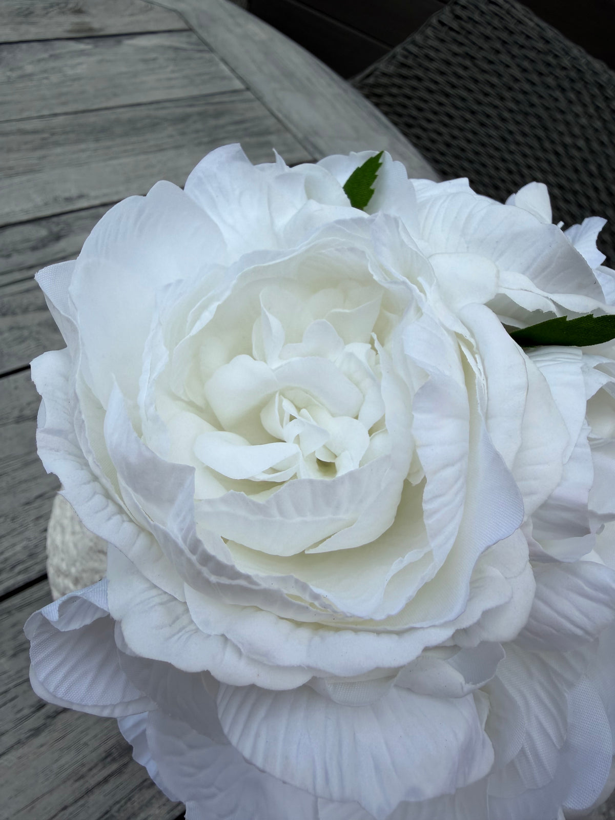 ITEM 10296 W - 11.5" WHITE FRESH TOUCH ENGLISH GARDEN PEONY BUNDLE WITH 6 STEMS
