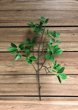 ITEM 11268 GR - 31" GREEN FICUS SPRAY X 2