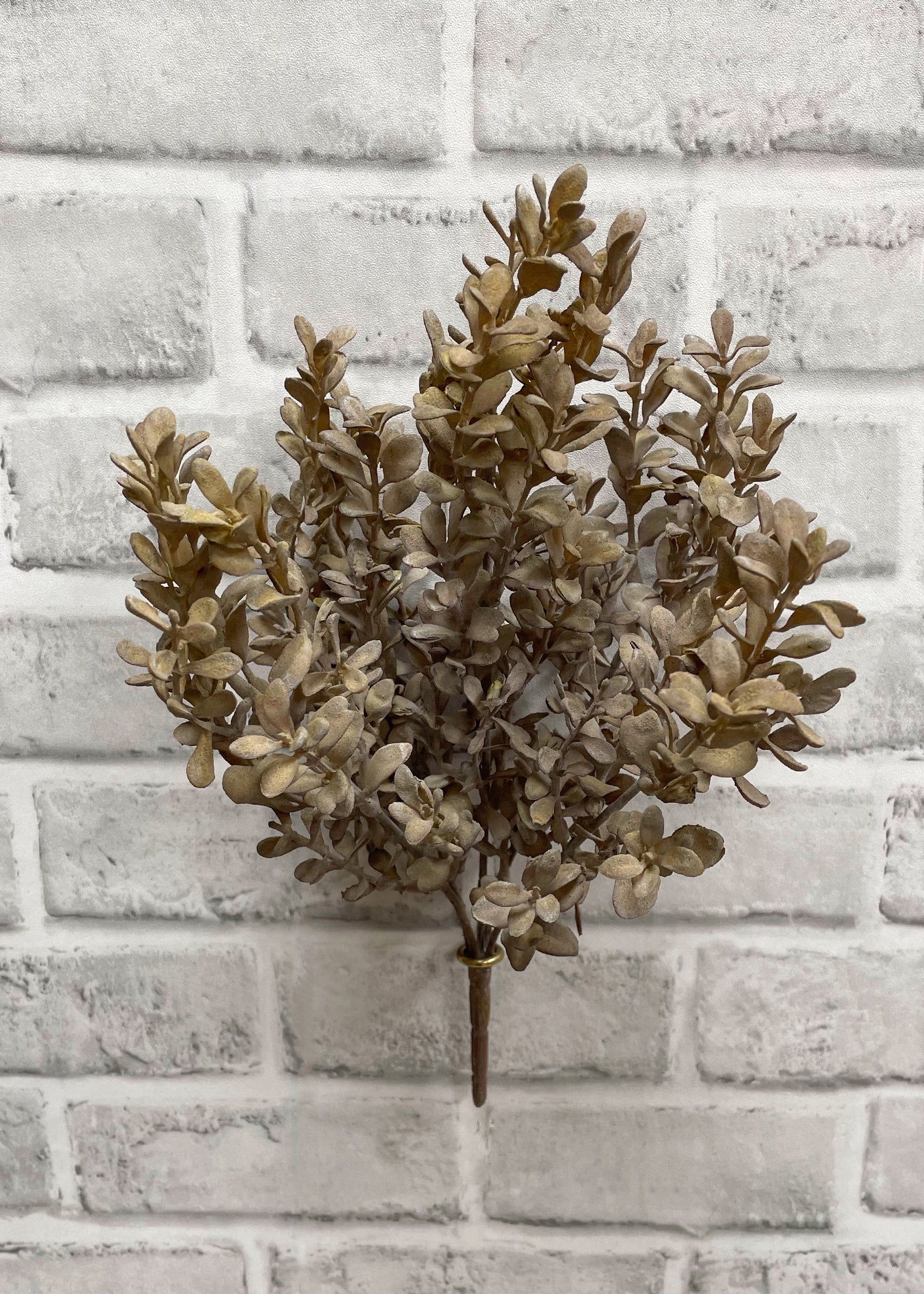 ITEM 11440 - 12" LIGHT BROWN BOXWOOD BUSH X 5